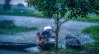 Rain likely over parts of Bangladesh